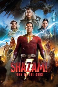 Shazam! Fury of the Gods (Tamil + Telgu + Hindi + English)