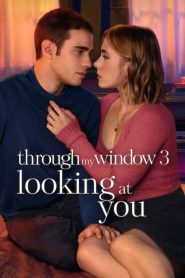 Through My Window 3: Looking At You (Hindi + English)