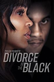Tyler Perry’s Divorce in the Black (Hindi + English)
